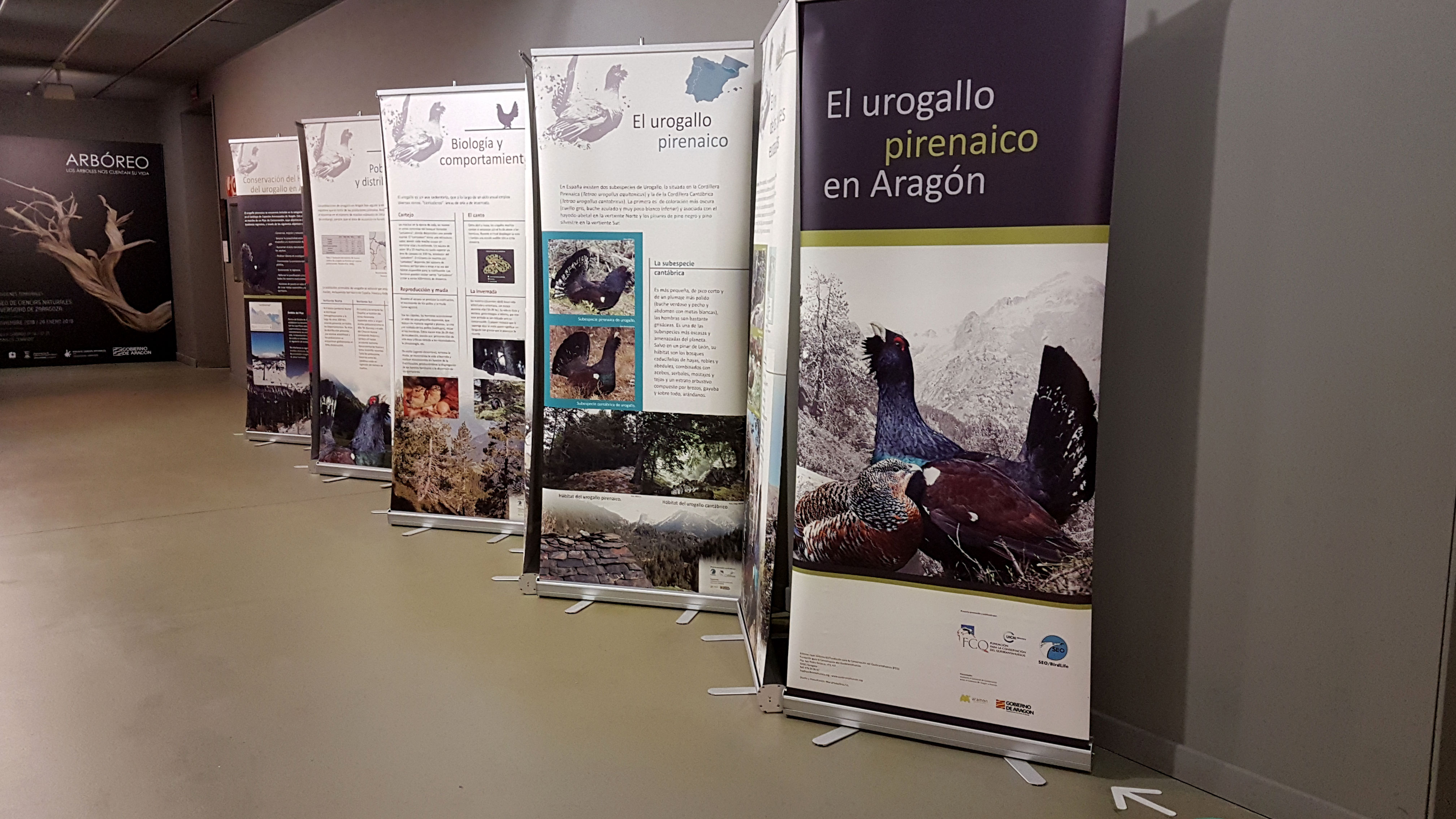 20190114_101652—copia