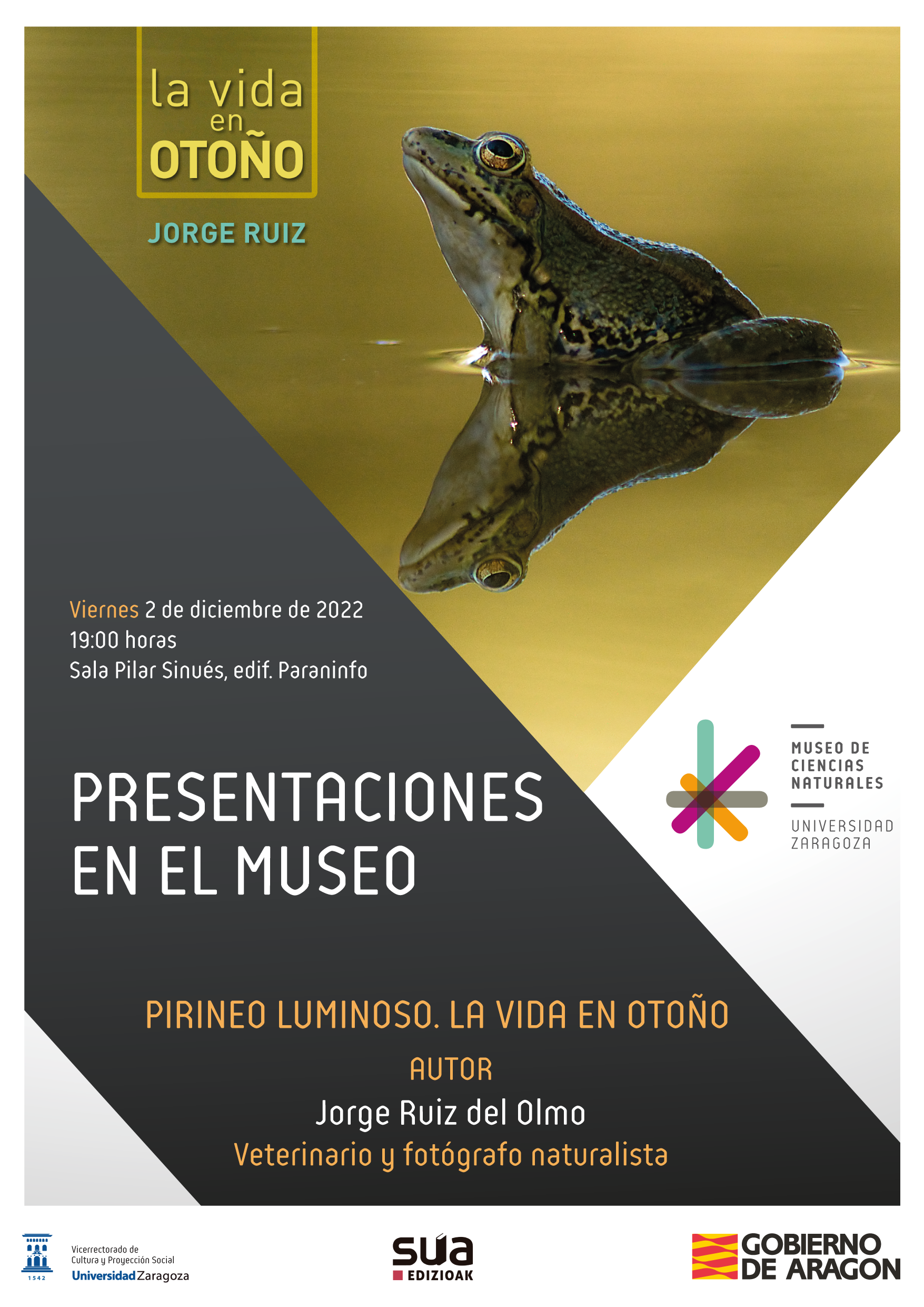 2022-12-2 Pirineo luminoso web-01