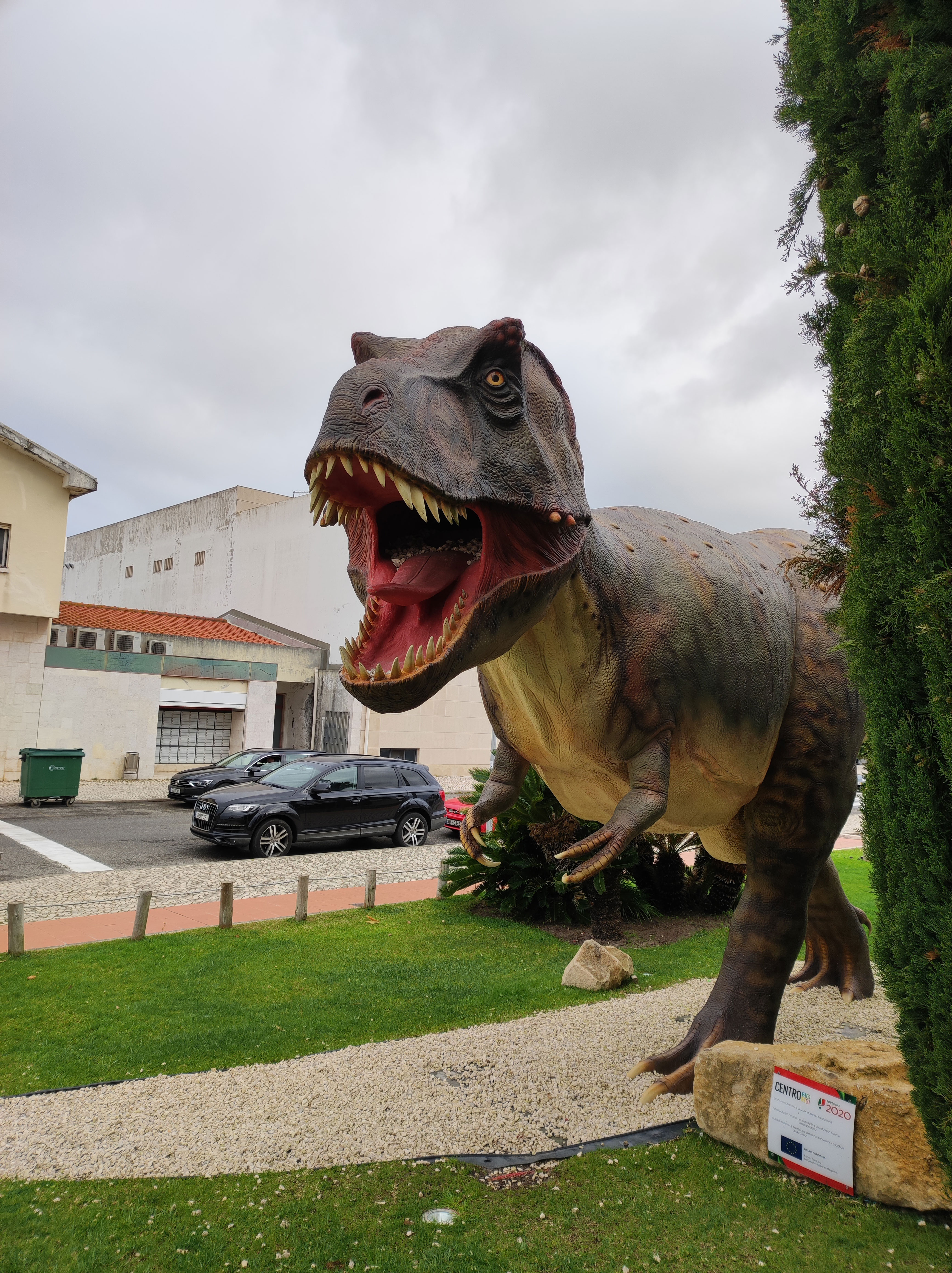 IMG_20230411_110225-web