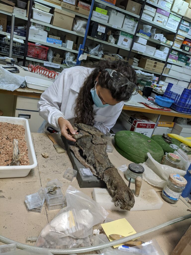 Jara-Pariila-Coco-Ordesa-768×1024 Jara