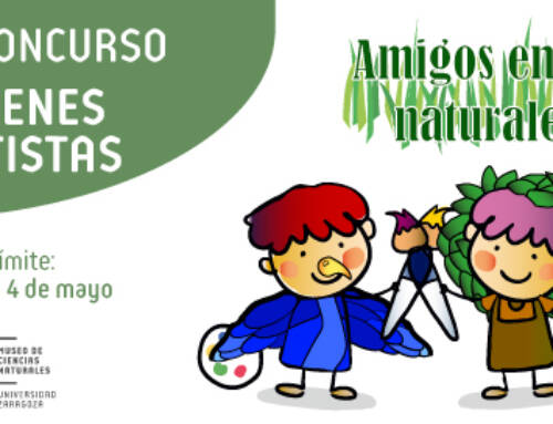 IX Edición del Concurso de Jóvenes Artistas: “Amigos en la naturaleza”