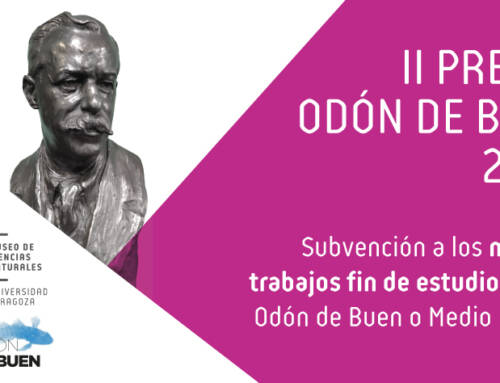 II PREMIO ODÓN DE BUEN A LOS TRABAJOS FIN DE ESTUDIOS DE LA UNIVERSIDAD DE ZARAGOZA