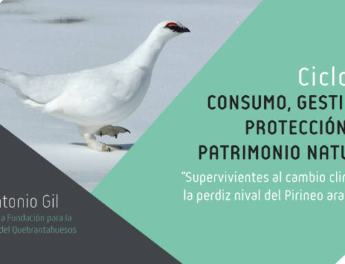 Tercera jornada del ciclo de “Consumo, Gestión y Protección del Patrimonio Natural” con la charla “Supervivientes al cambio climático: la perdiz nival del Pirineo aragonés”