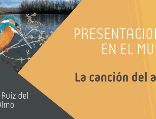 Presentación del libro “La canción del agua” de Jorge Ruíz del Olmo