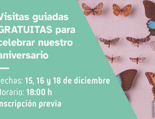 10º Aniversario del MCNUZ