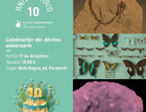 El Museo de Ciencias Naturales celebra los 10 años de su exposición permanente