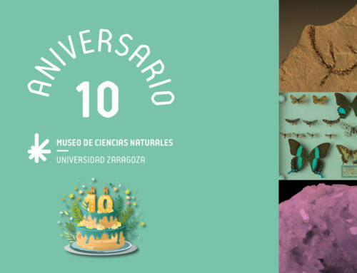 El Museo de Ciencias Naturales cumple 10 años