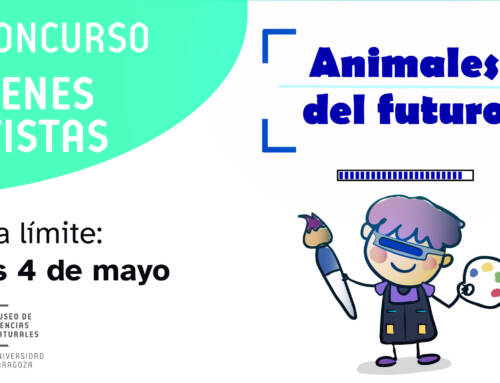 XI Edición del Concurso de Jóvenes Artistas