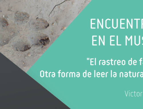 Encuentros en el Museo: «El rastreo de fauna. Otra forma de leer la naturaleza»