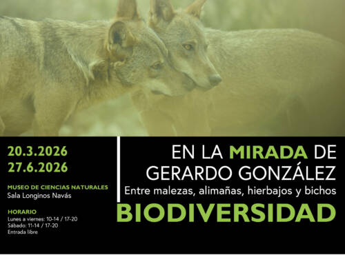 Nueva exposición temporal: En la mirada de Gerardo González. Entre malezas, alimañas, hierbajos y bichos. Biodiversidad