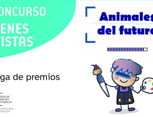 Entrega de premios y exposición de la XI Edición Concurso Jóvenes Artistas del MCNUZ