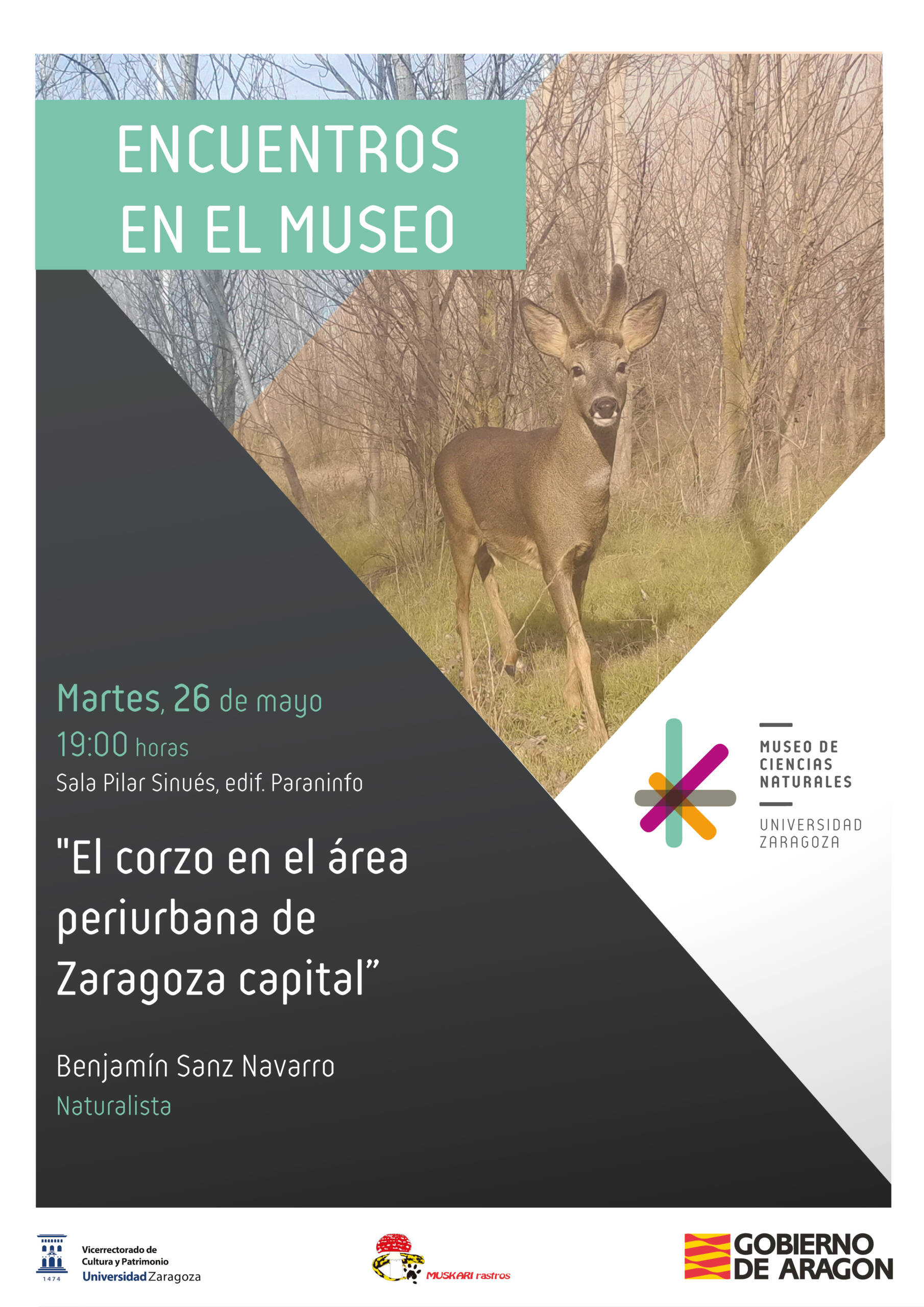 Plantilla_Benjamín-01