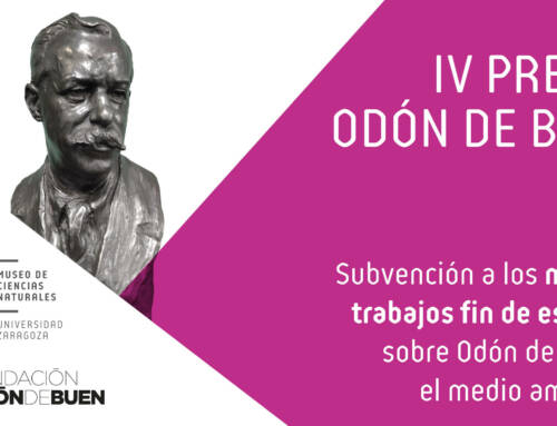 LA FUNDACIÓN ODÓN DE BUEN Y EL MUSEO DE CIENCIAS NATURALES DE LA UNIVERSIDAD DE ZARAGOZA CONVOCAN LOS IV PREMIOS ODON DE BUEN PARA TRABAJOS FIN DE GRADO Y FIN DE MÁSTER