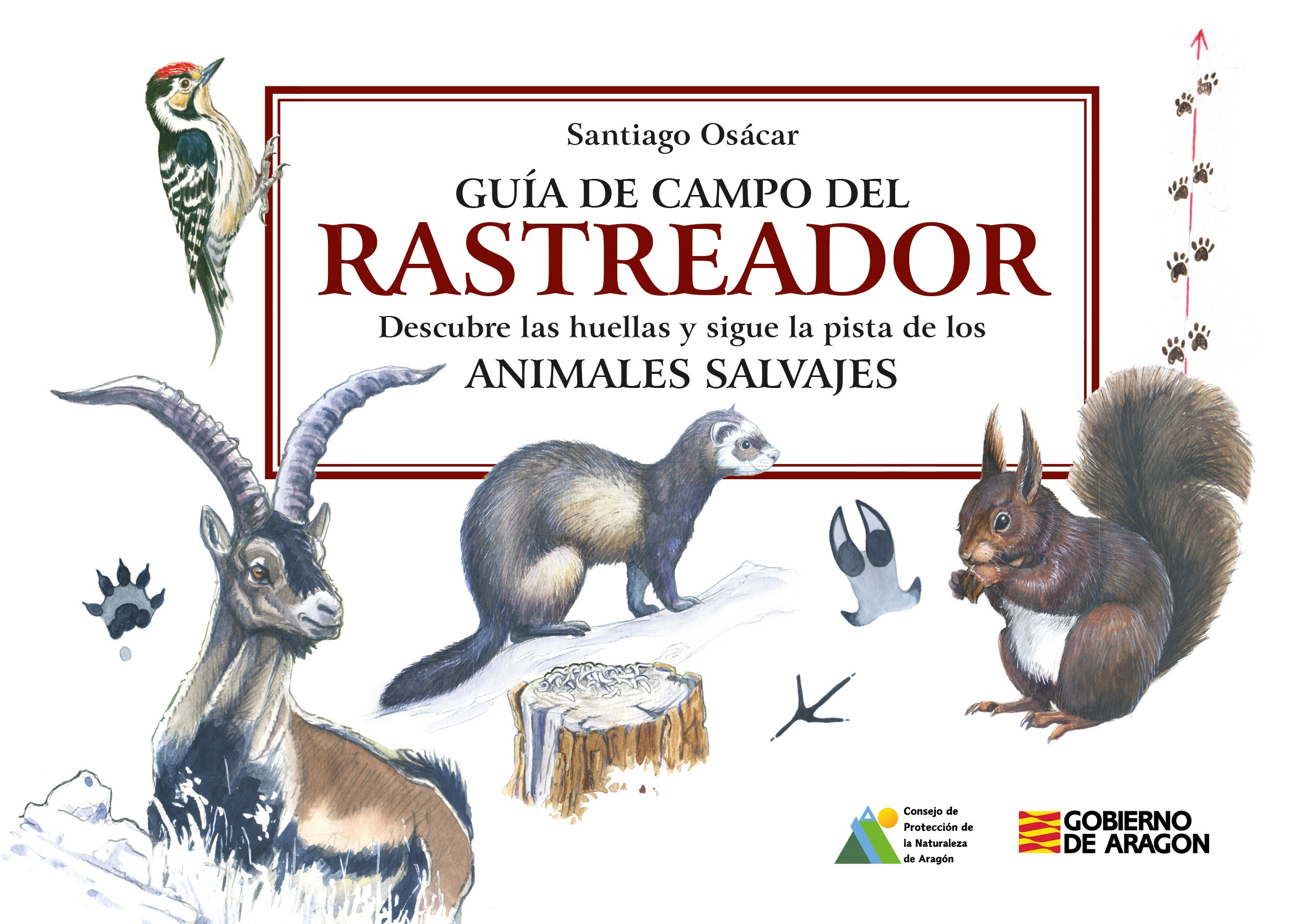 Portada Libro Guía de campo del rastreador. Descubre las huellas y sigue la pista de los ANIMALES SALVAJES