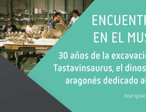 Encuentros en el Museo: 30 años de la excavación de Tastavinsaurus, el dinosaurio aragonés dedicado al vino