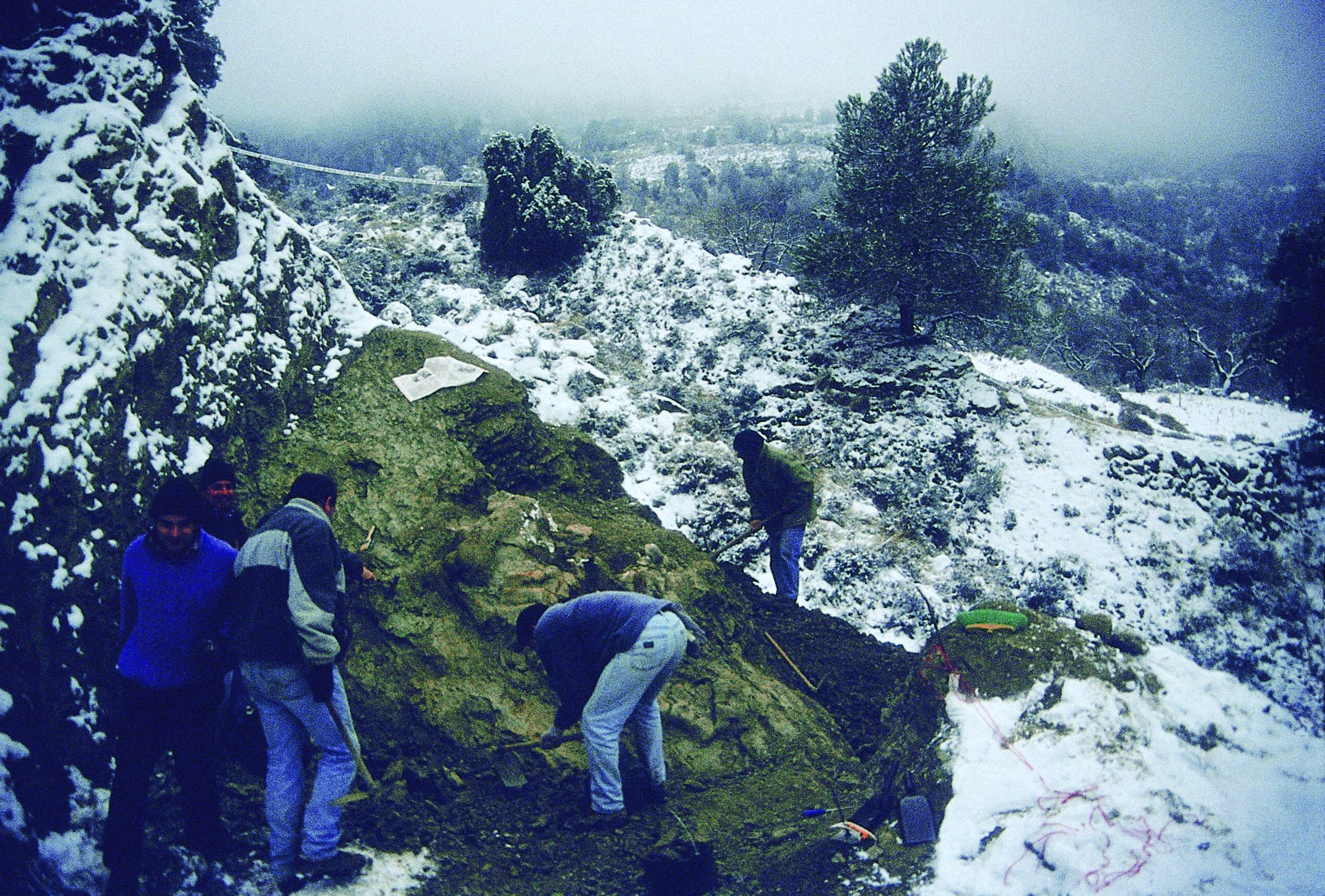 Excavacion1